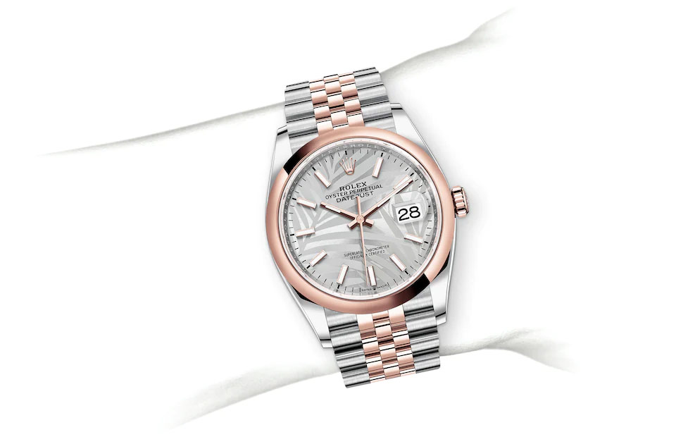 Rolex Datejust 36 Oyster, 36 mm, Oystersteel and Everose gold M126201-0031 at Juwelier Wagner