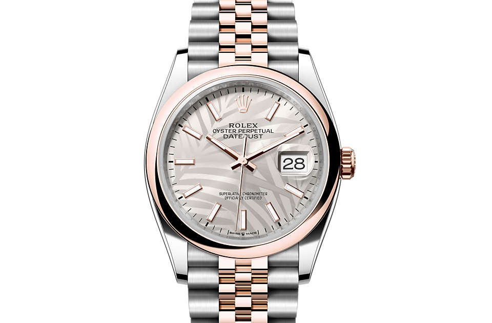 Rolex Datejust 36 Oyster, 36 mm, Oystersteel and Everose gold - M126201-0031 at Juwelier Wagner