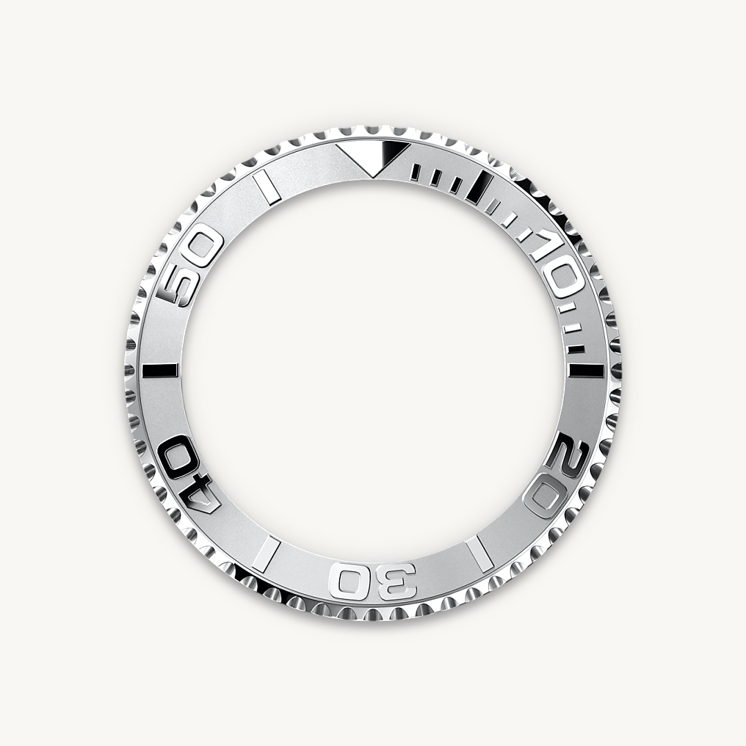 Bidirectional Rotatable Bezel