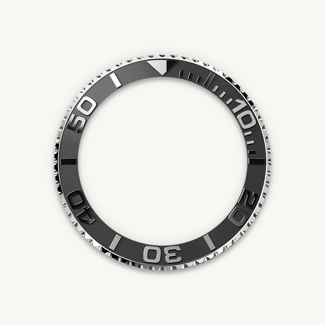 Bidirectional Rotatable Bezel