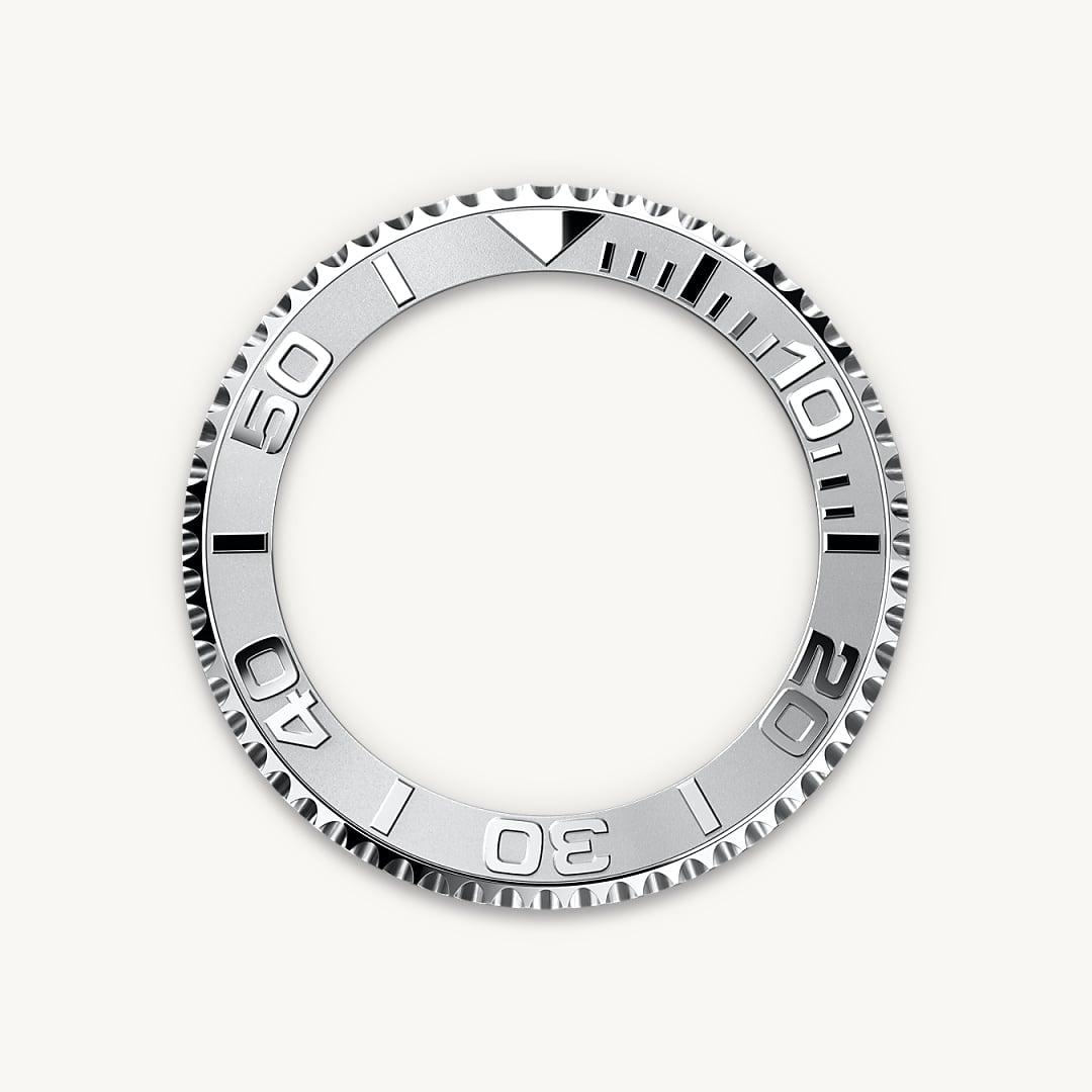 Bidirectional Rotatable Bezel