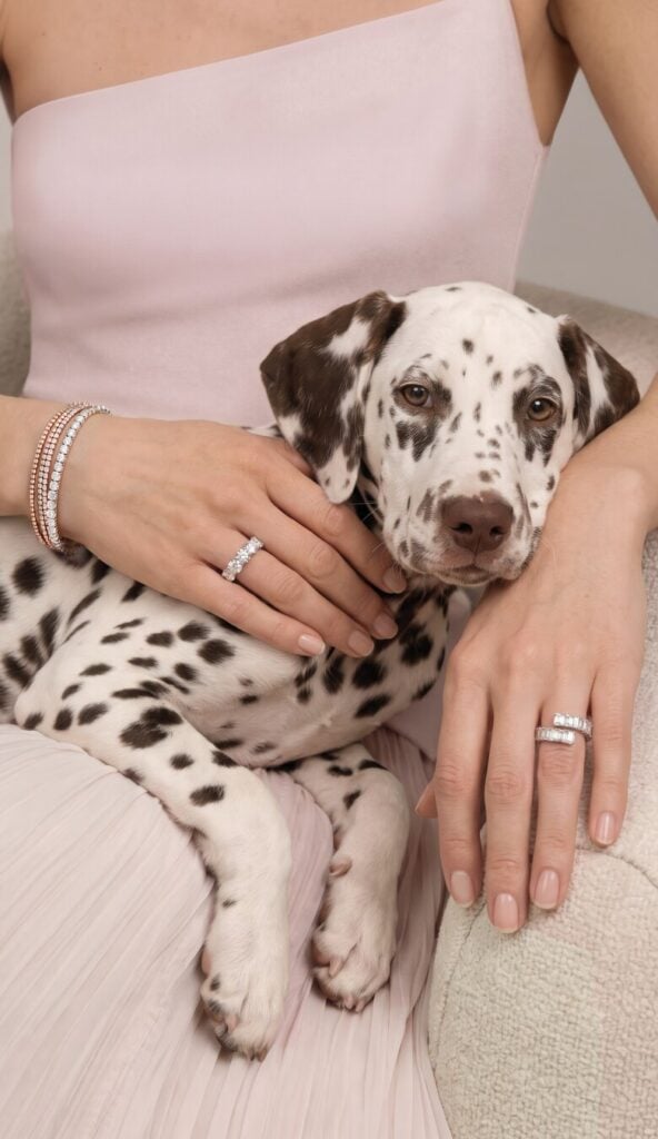 Eine Frau trägt Rivière Diamantarmbänder und einen Diamantring von Juwelier Wagner und hält einen Dalmatiner auf dem Schoß.